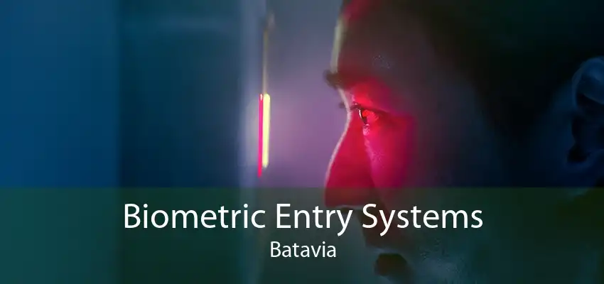 Biometric Entry Systems Batavia